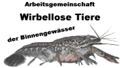 Hier gibt es ausf�hrliche Infos �ber Wirbellose